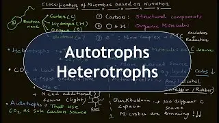 Nutrition Basics | Autotrophs | Heterotrophs | Microbial Nutrition | Basic Science Series
