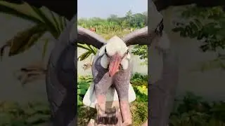 Family Time 🌺 Jannat Park,Kaliganj #sylhet  #shorts #short