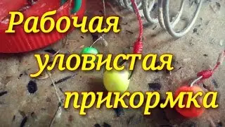 Рабочая уловистая прикормка.Рыбалка.Карась.Лещ.Карп.Плотва