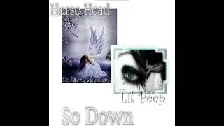 lil peep ft. horsehead - (so down/time bomb) mashup