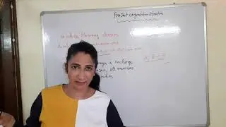 Project Organisation Structure