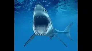 WOKAOKWOKAWOKAWOK