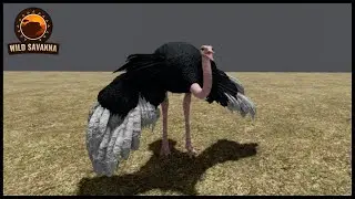 Roblox Wild Savanna - Ostrich Animations - Recode Sneak Peek