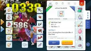 Ragnarok Mobile Critical Assassin Guide with Stats / Equipment and Skills