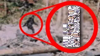 Pokémon Cryptids