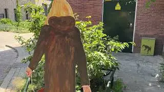 The lady with the dog