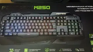 Клавиатура Panteon M250
