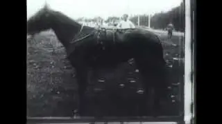 1922 г. Рысистые бега на ипподроме в Москве. Красное дерби