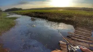 Gacor‼️ Parit Kecil Tapi Ikan Lagi Pada Demo | Casting Gabus