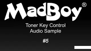 Madboy TONER 2 приставка для изменения тональности