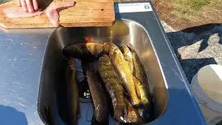 Fishing Trip in Ontario Canada