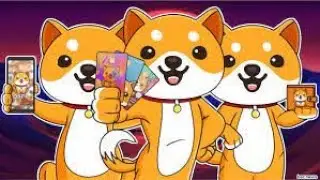 BABY DOGE DEV TEAM REVEALS HOW BABY DOGECOIN PLANS !!! EXPLAINED