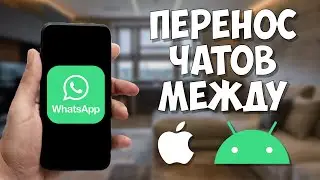 Как перенести чаты WhatsApp между iOS и Android? Обзор iCareFone For WhatsApp
