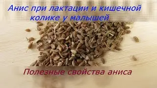 Анис при лактации.Польза и вред аниса.