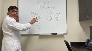 PAC-man visual fields in lateral geniculate body (LGB) lesions