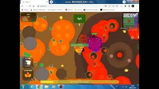 astral phoenix roams.io
