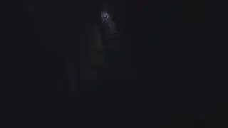 Shadows