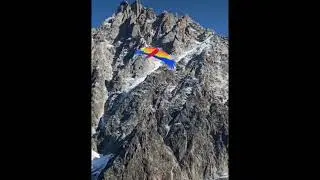 Parrot Paraglider, Попугае-параплан, Такого Вы не видели!