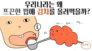 우리나라는 왜 뜨끈한 밥에 김치를 올려먹을까? (feat. 온대계절풍 기후)