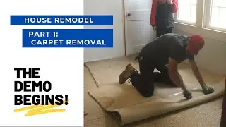DEMO DAY!  CARPET REMOVAL