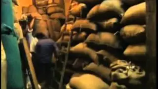 Cocaine Mummies of Ancient Egypt