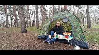 ПВД 2023. Поодинокий похід в ліс. Зимовий кемпінг. SOLO BUSHCRAFT CAMP