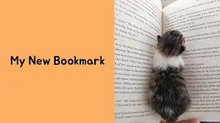 50 Funny Cats With Jobs They Take Way Too Seriously (New Pics)