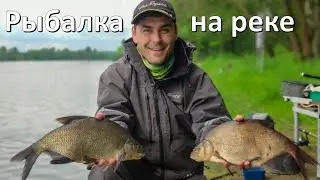 Fishing for BREAM on a feeder, at the beginning of summer on the river.