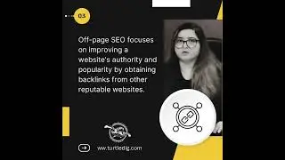 What You Need To Learn About SEO | Basic Points of SEO | Turtle Dig IT Solutions Pakistan