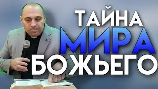 Дмитрий Савченко. ТАЙНА МИРА БОЖЬЕГО.