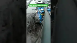 Сумую за такими моментами😔...#shorts