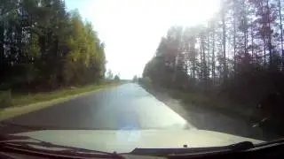багги из оболсуново