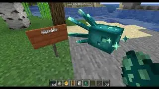 Minecraft Snapshot 24w34a Bugs