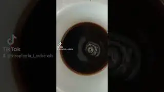 Kaffee lesen