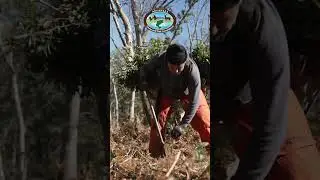 Dave Donaldson BlackRiver WMA Renovation LIVE 
