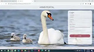 Onboarding Process | Spine Technologies