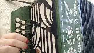 Снег летит и летит, на гармони