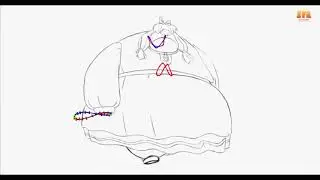 KLAUS MAGDELONE WALK CYCLE ANIMATION ANALYSIS - (Sergio Martins)