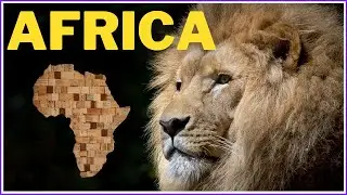AFRICA / 15 Important Facts About Continent of AFRICA (Religion, Language, Nature, Animals)