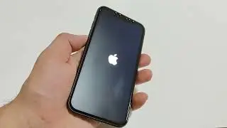 iPhone Black Screen Frozen and Won't Turn On