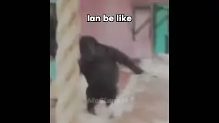 Ian be like