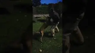 Raiko van de Suikerdijk Bite