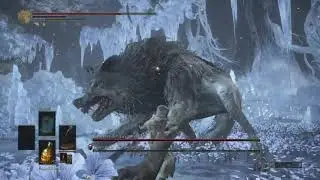 Dark Souls 3 Ashes of Ariandel - Champion's Gravetender and Gravetender Greatwolf Boss Fight