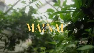 Insel Mainau | Sony A7III Cinematic