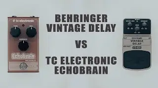 Behringer VD400 Vintage Delay VS TC Electronic Echobrain (Analog Delay Comparison)
