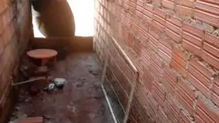 Mulher se Masturbabdo no bequinho- IMPRESIONATE