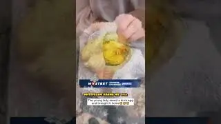 Уточка РОДИЛА ЯИЧКО ХОЗЯИНУ! Что за милое создание 🥺