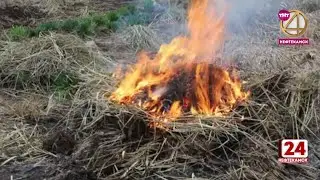 За разведение костров и сжигание мусора можно поплатиться рублем