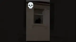 💀🥲