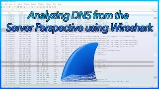 01 Analyzing DNS from the Server Perspective using Wireshark